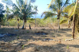 Disewakan Tanah 10 Are Pemandangan Laut dan Gunung Agung