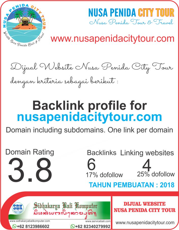 Dijual Website Nusa Penida City Tour SEO Friendly