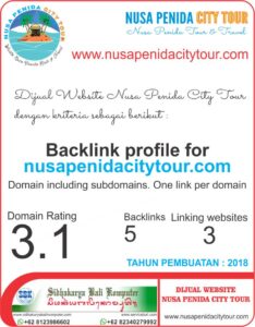 Dijual Website Nusa Penida City Tour SEO Friendly